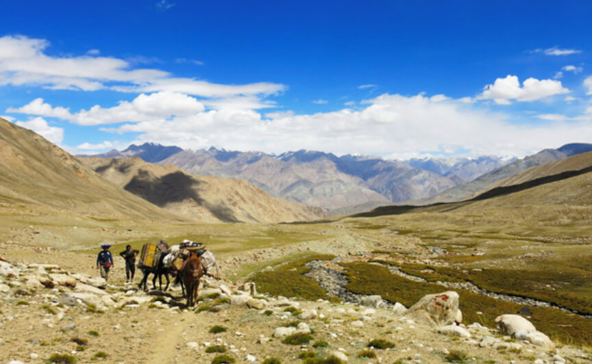 Nubra Valley Trek